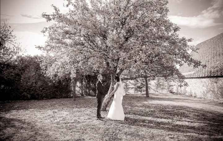 L'arbre et nous