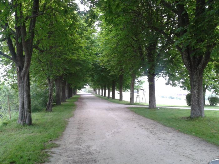 allee eglise