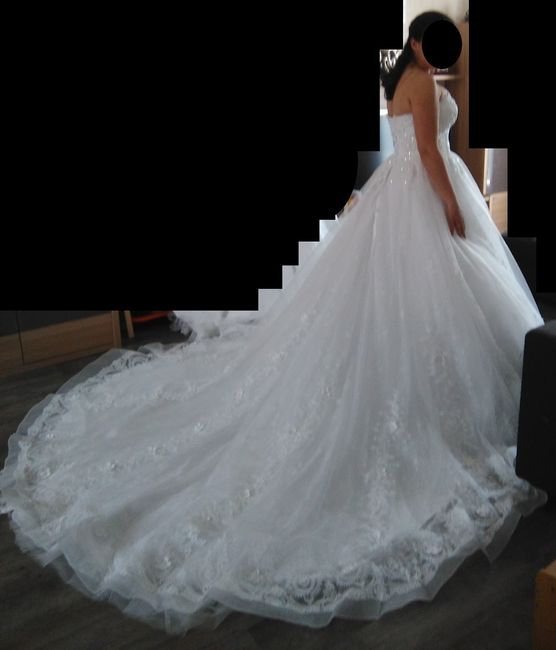 Robe princesse 🆚 robe sirène ? 1