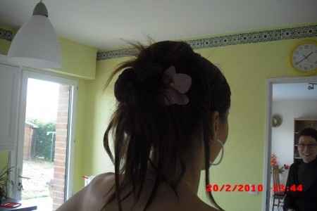 Chignon