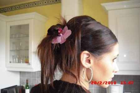 Chignon