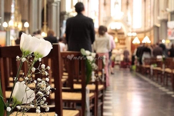 Fleur sur les chaises