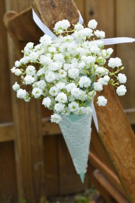 Cône de gypsophyle