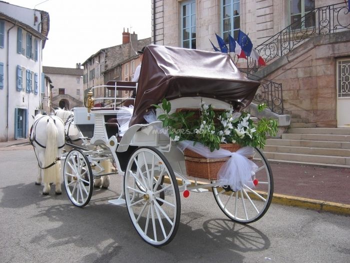 Qui va louer une calèche ?