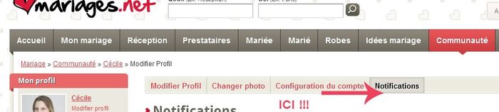 Cliquez sur notifications