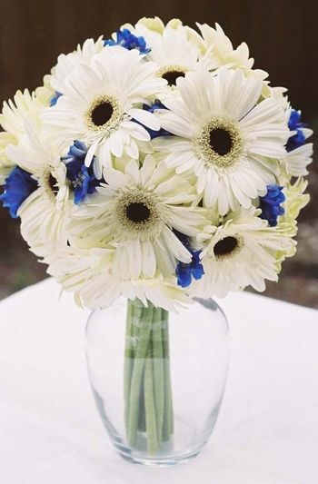 IdÃ©es bouquet blanc et bleu