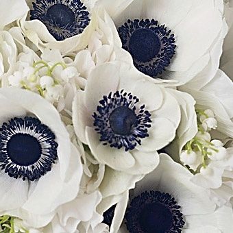 IdÃ©es bouquet blanc et bleu