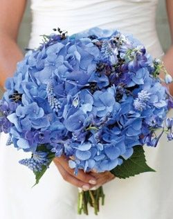 IdÃ©es bouquet blanc et bleu