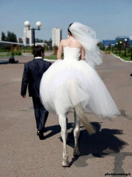 Une nouvelle photo étrange, une mariée centaure !
