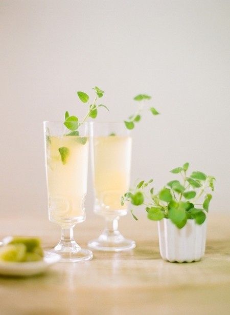 Inspiration graphique pour faire part sur le thème du cocktail