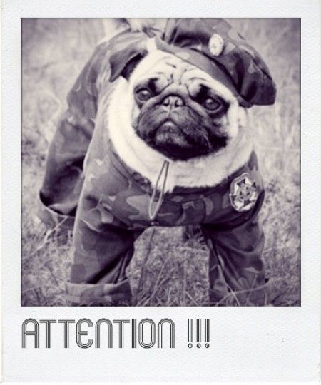 Attention !!!