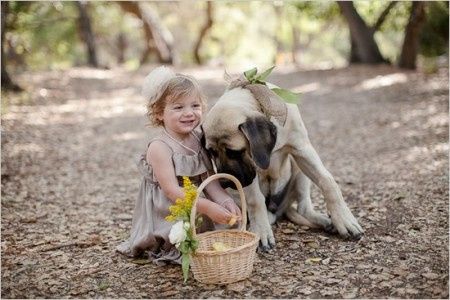 Votez pour votre photo de chien préférée !