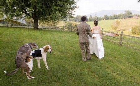 Photos amusantes ou ridicules