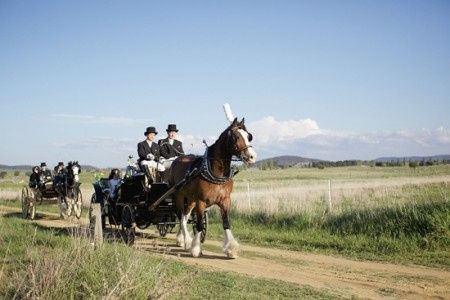 Votez pour votre photo de calèche de mariage préférée !