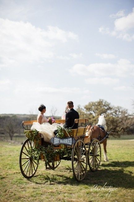 Votez pour votre photo de calèche de mariage préférée !