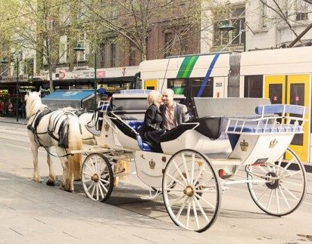 Votez pour votre photo de calèche de mariage préférée !