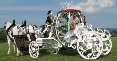 Votez pour votre photo de calèche de mariage préférée !