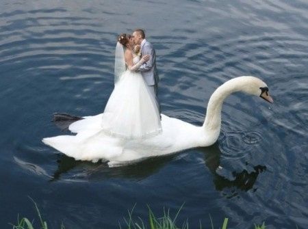 Le mariage russe dans tous ses états !