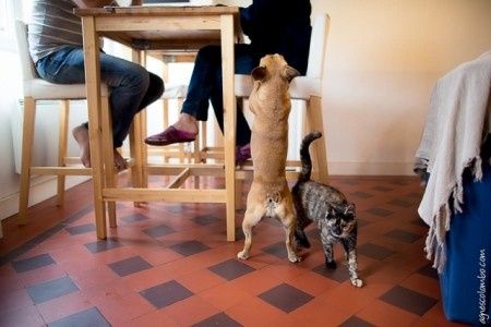 Une séance photo intime à la maison, ça vous tente ?