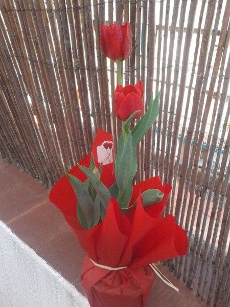 Mon cadeau de la Saint-Valentin 2014