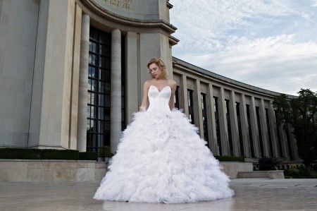 Les 12 photos les plus likées de cette semaine sur facebook: quelle est votre préférée ?