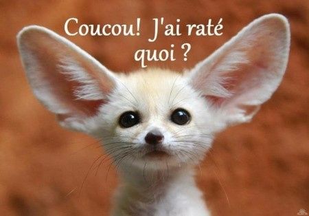 Hello !! 