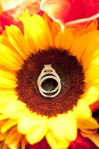 Des tournesols pour votre mariage: OUI ou NON ?