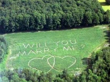 9 demandes en mariage: laquelle préférez-vous ?
