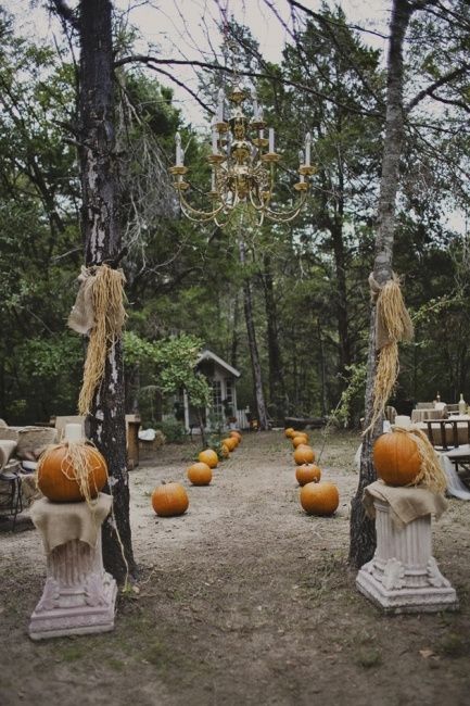 11 idées de décorations avec des citrouilles