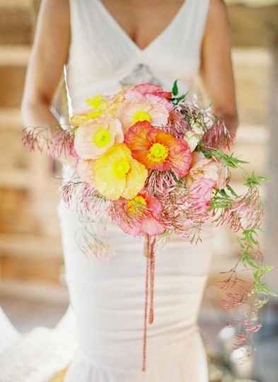 Fleurs de pavot