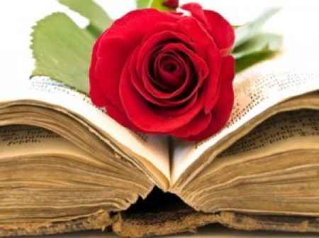 Joyeuse Saint Jordi à tous et à toutes !