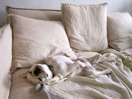 Ouuuuuh je serais bien restée au lit ce matin moi !!