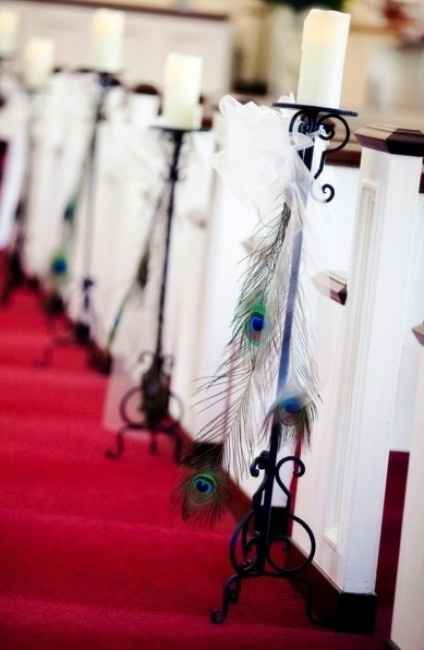 Plumes de paon pour les bancs de l'église