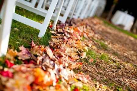 Votez pour votre photo d'automne préférée !