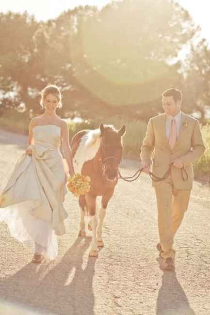 Quand les mariées montent à cheval