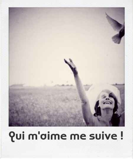 Qui est sur twitter ? Je veux vous suivre !