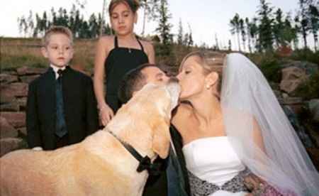 Photos amusantes ou ridicules