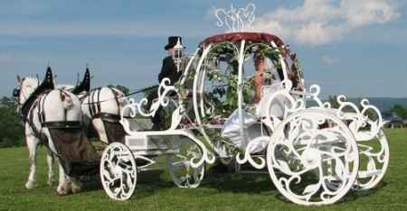 Votez pour votre photo de calèche de mariage préférée !