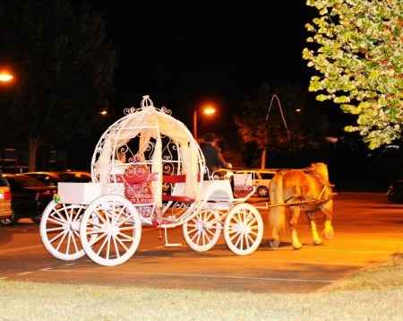 Votez pour votre photo de calèche de mariage préférée !