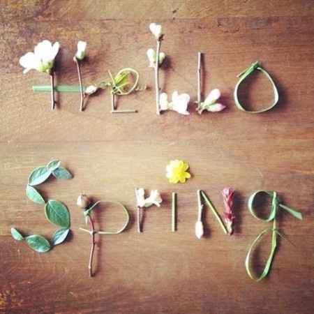 A nous le printemps et la saison des amours !