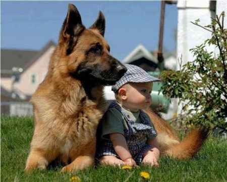 18 photos trop mignonnes d'enfants avec leur chien/chat: votez pour votre préférée !