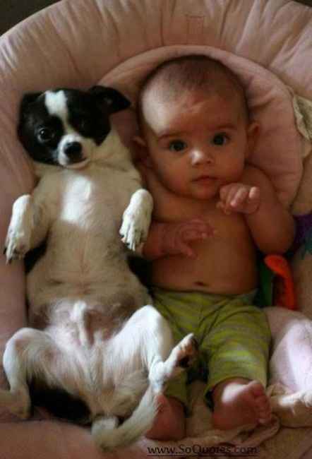 18 photos trop mignonnes d'enfants avec leur chien/chat: votez pour votre préférée !
