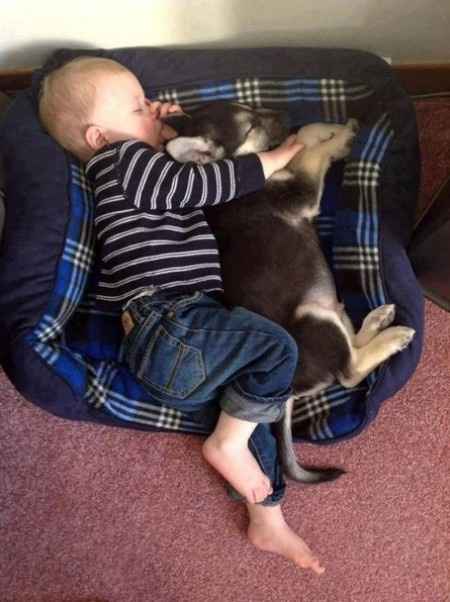 18 photos trop mignonnes d'enfants avec leur chien/chat: votez pour votre préférée !