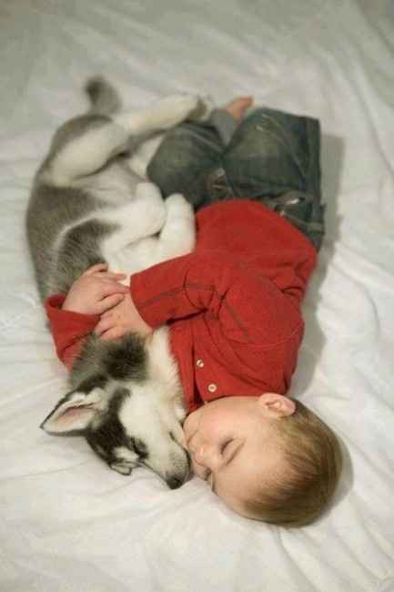 18 photos trop mignonnes d'enfants avec leur chien/chat: votez pour votre préférée !