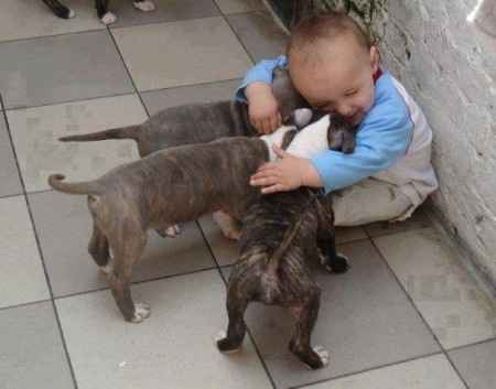 18 photos trop mignonnes d'enfants avec leur chien/chat: votez pour votre préférée !