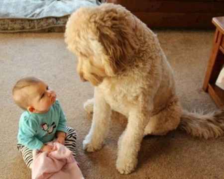 18 photos trop mignonnes d'enfants avec leur chien/chat: votez pour votre préférée !