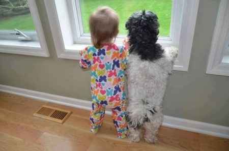18 photos trop mignonnes d'enfants avec leur chien/chat: votez pour votre préférée !