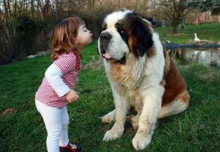 18 photos trop mignonnes d'enfants avec leur chien/chat: votez pour votre préférée !
