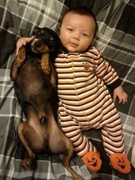 18 photos trop mignonnes d'enfants avec leur chien/chat: votez pour votre préférée !