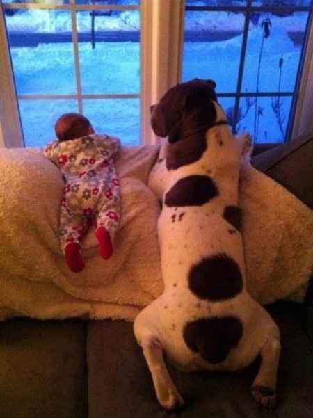 18 photos trop mignonnes d'enfants avec leur chien/chat: votez pour votre préférée !